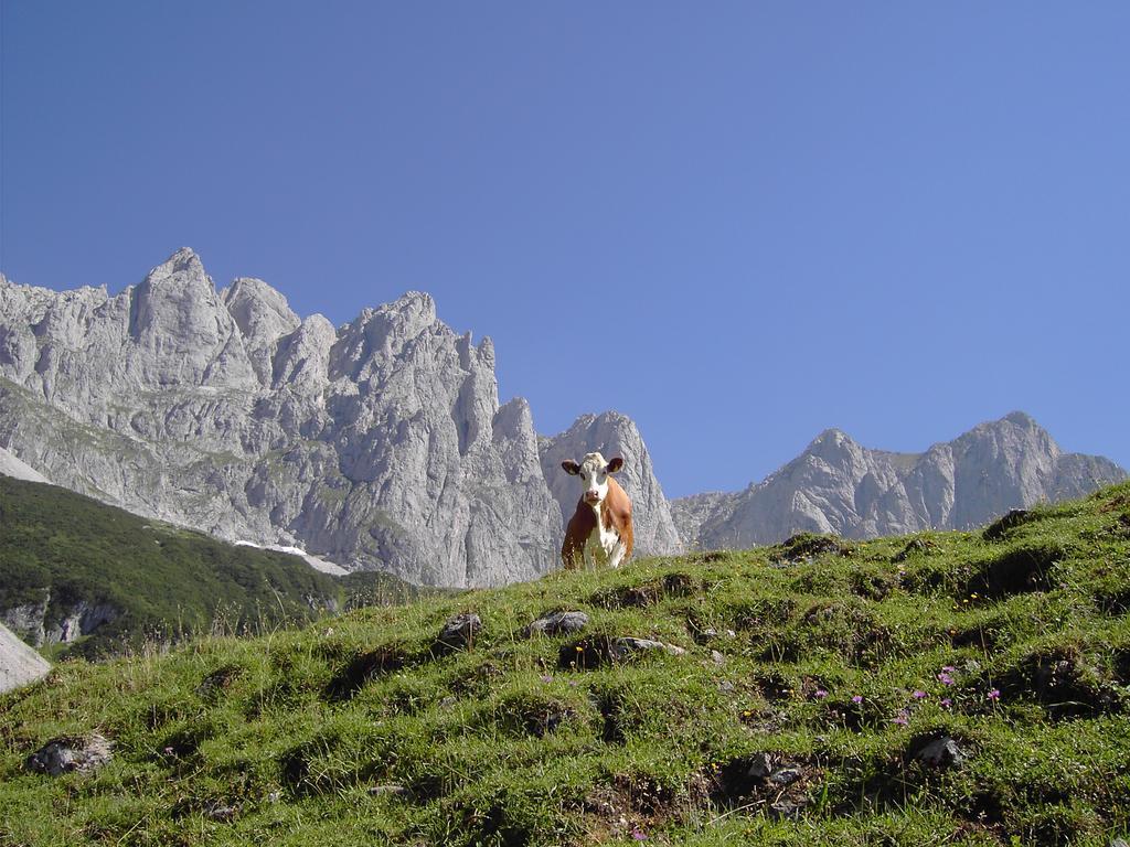 Alpenappartement Europa Sankt Johann in Tirol Dış mekan fotoğraf