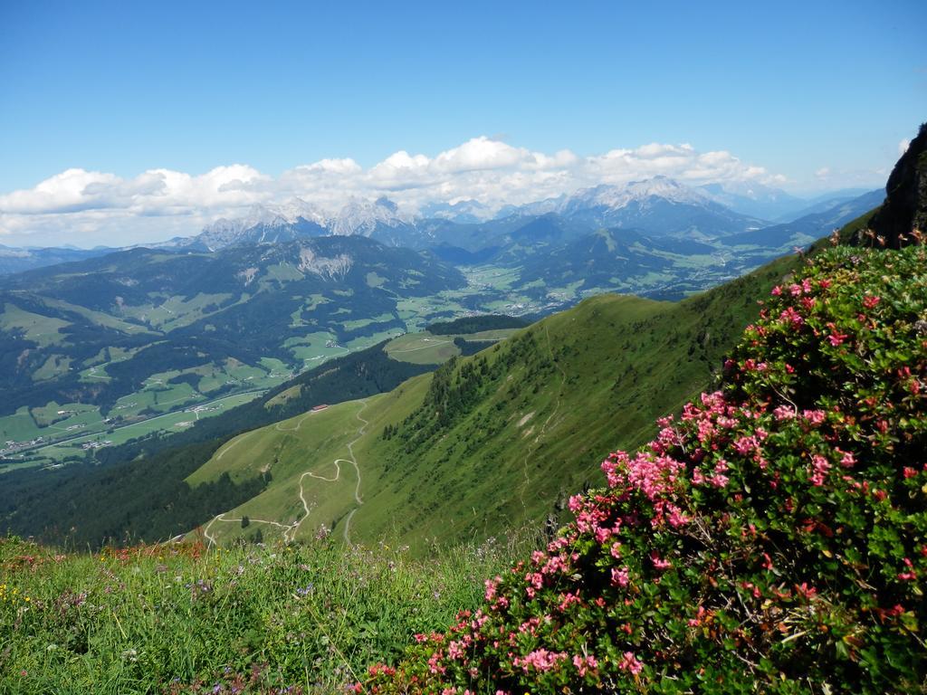 Alpenappartement Europa Sankt Johann in Tirol Dış mekan fotoğraf